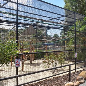 Squirrel Monkey Enclosure