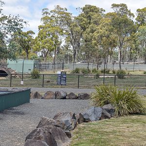 African Wild Dog enclosure