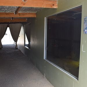 Bilby viewing area