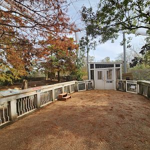 Flint RiverQuarium - Walkthrough aviary (inside)