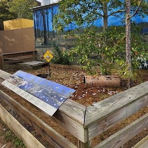Flint RiverQuarium - Gopher Tortoise enclosure