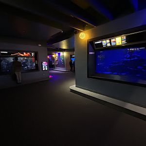 Hall of Fishes Overview