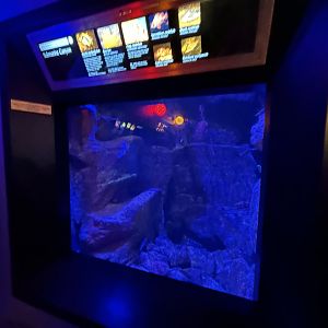 Submarine Canyon Tank