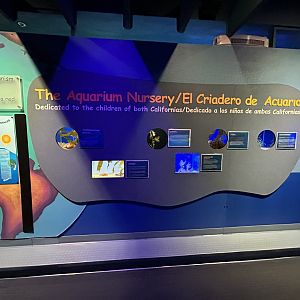 Aquarium Nursery