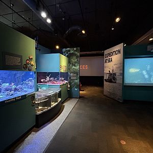 Healthy Reef & Bleached Reef Tanks + Touch Area