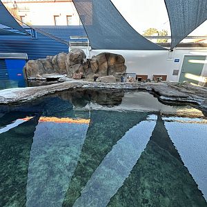 Little Blue Penguin Exhibit