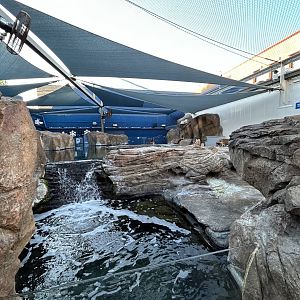 Little Blue Penguin Exhibit