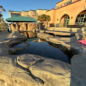 Tide Pool Plaza