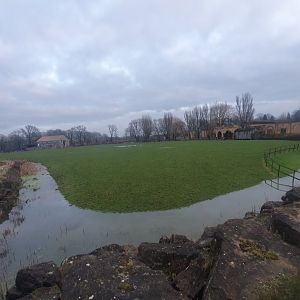 African Savannah enclosure 3/1/24