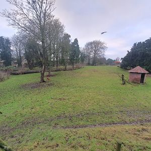 Emu and Red Kangaroo enclosure 3/1/24