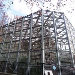 Chimp exhibit