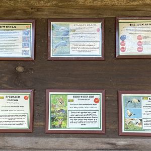 Updated Little Africa signage