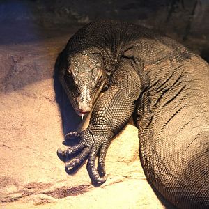 Southeast Asian Water Monitor