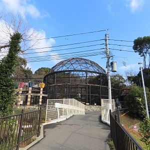 Aviary