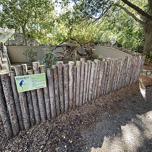 Hyacinth Macaw Perches