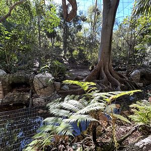 Demoiselle Crane Exhibit