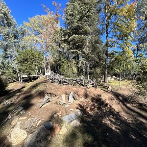 Kangaroo and Waterfowl Walkthrough - Walkabout Australia