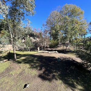 Kangaroo and Waterfowl Walkthrough - Walkabout Australia