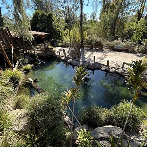 Waterfowl Pond - Walkabout Australia