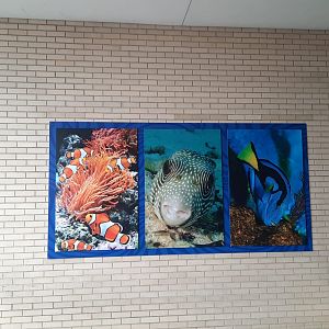 New PC&A Signage - Aquatic