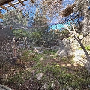 Red-tailed Hawk & Harris’ Hawk Aviary - Condor Ridge