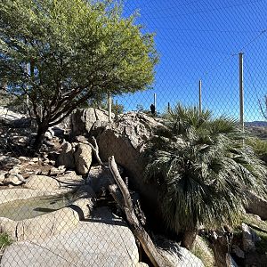 California Condor Aviary - Condor Ridge