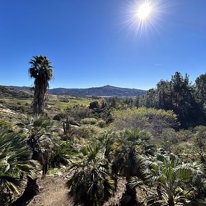 View from Condor Ridge