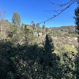 California Condor Aviary from a Distance