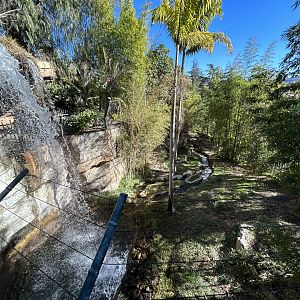 Sumatran Tiger Exhibit #3 - Tiger Trail