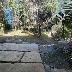 Sumatran Tiger Exhibit #2 - Tiger Trail