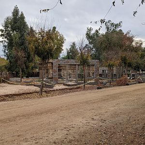 New Construction - Tiger habitats