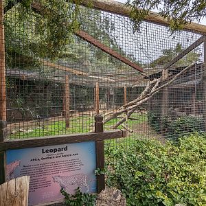 Original Zoo - "African" Leopard enclosure