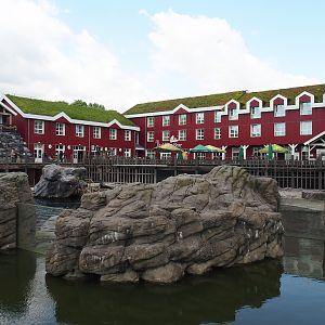 Steller's sea lion exhibit and The Paddling Bear Hotel, 2023-05-16