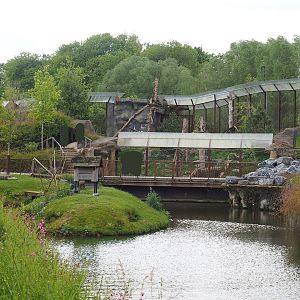 American beaver exhibit and Cougar exhibit, 2023-05-16