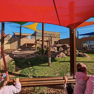 Predator Passage - Leopard