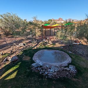 Predator Passage - Vultures