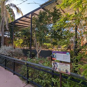 Children's Trail - Rhinoceros hornbill aviary