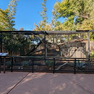 Children's Trail - king vulture aviary