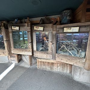 Herp Exhibits - Nairobi Village