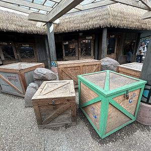 Herp Exhibits - Nairobi Village