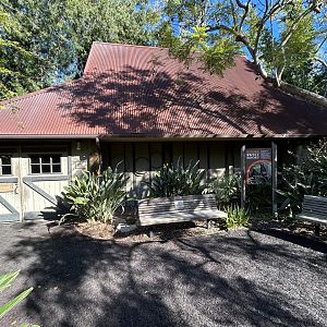 Flying Fox House - Nairobi Village