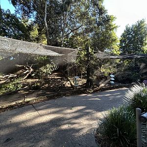 Great Argus & Kagu Aviaries