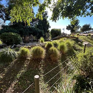 Vulture Exhibit (3 species) - Africa Loop
