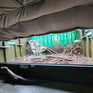 Birmingham Zoo - Komodo Dragon exhibit