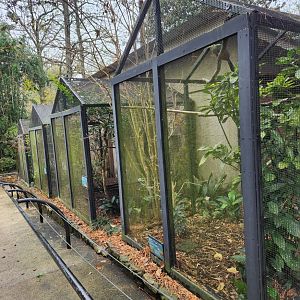 Birmingham Zoo - Rows of aviaries