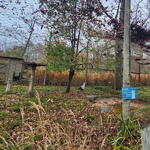 Birmingham Zoo - Secretary Bird exhibit