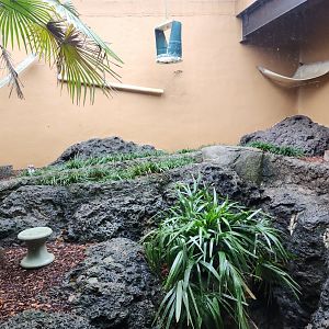 Birmingham Zoo - Lemur exhibit