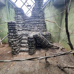 Birmingham Zoo - Black Howler Monkey exhibit