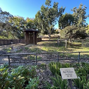 Okapi Exhibit - African Loop
