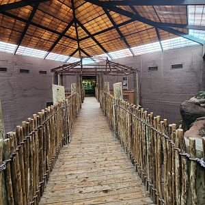Birmingham Zoo - Giant Otter bridge path